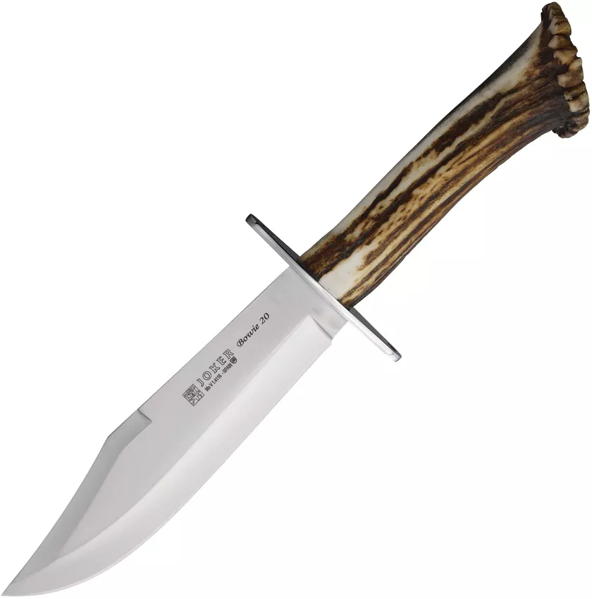 Bowie 20