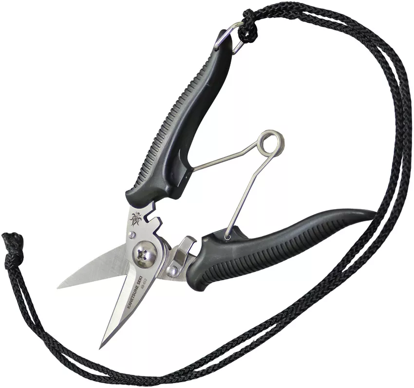 Camp Scissors