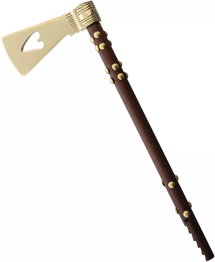 Revolutionary Mini Hawk